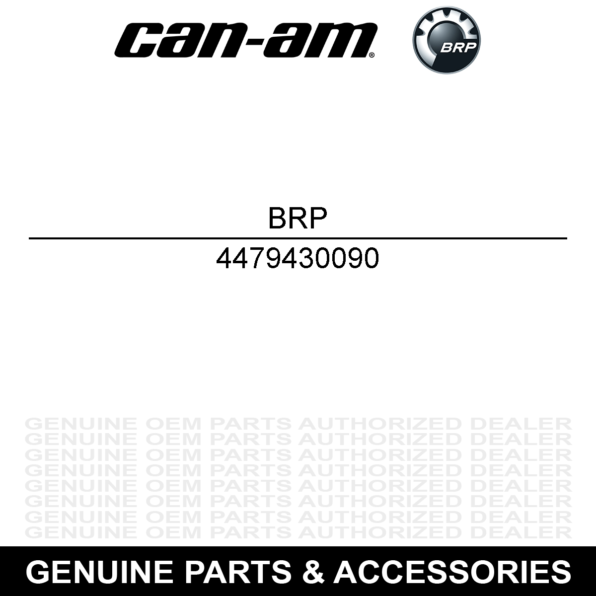 Can-Am Ski-Doo Goggle Speed Strap Remount Kit - Black - One Size