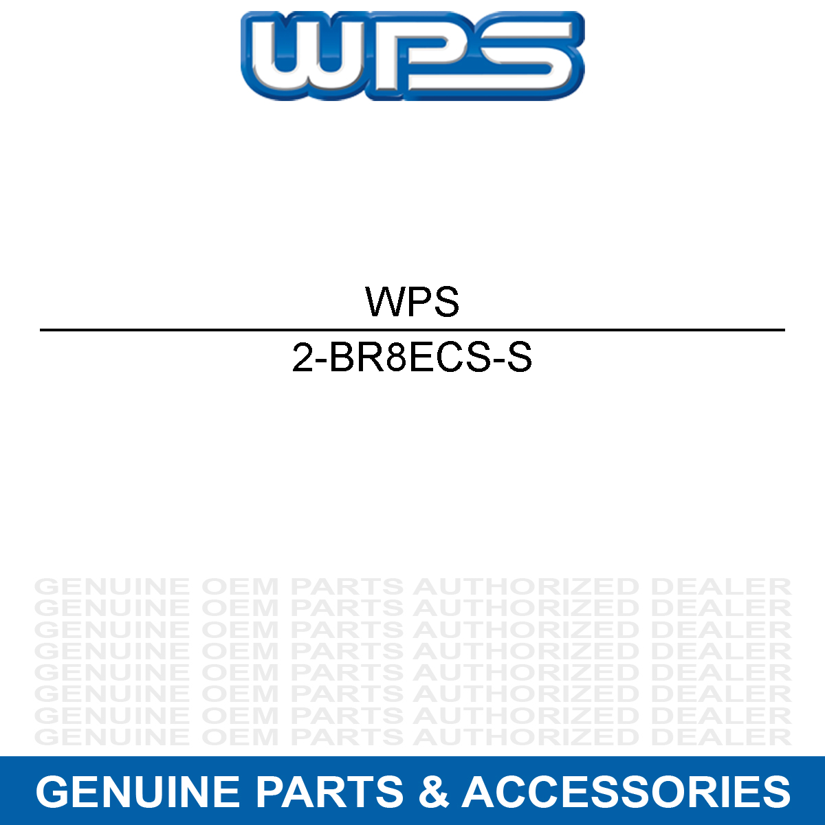NGK 4172 Spark Plug /10 Solid
